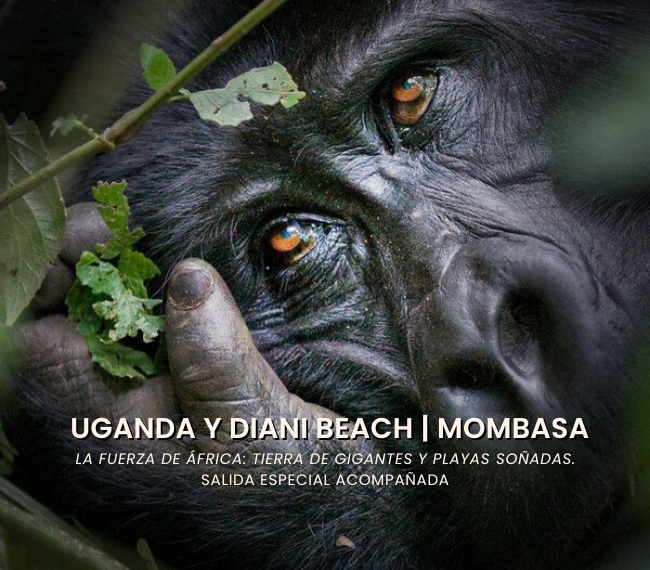 UGANDA Y DIANI BEACH | MOMBASA - Salida especial acompa�ada - 21 de Agosto 2026 - 18 d�as / 15 noches